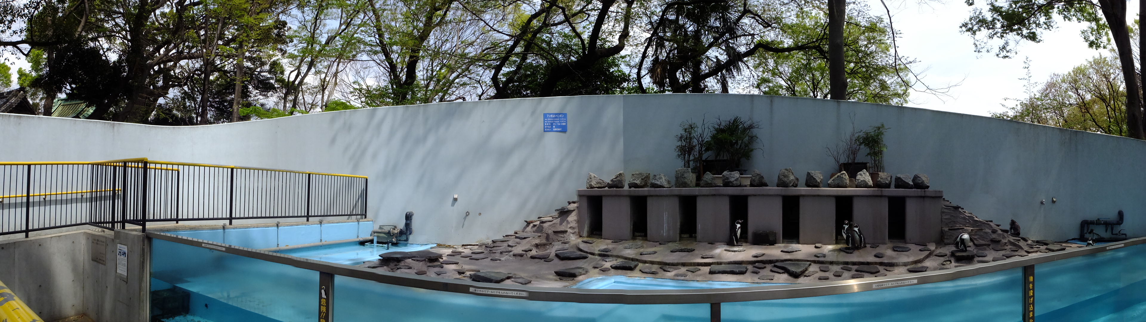 120度を選択して撮影。ペンギンのいる水槽が端から端まで写し込めた