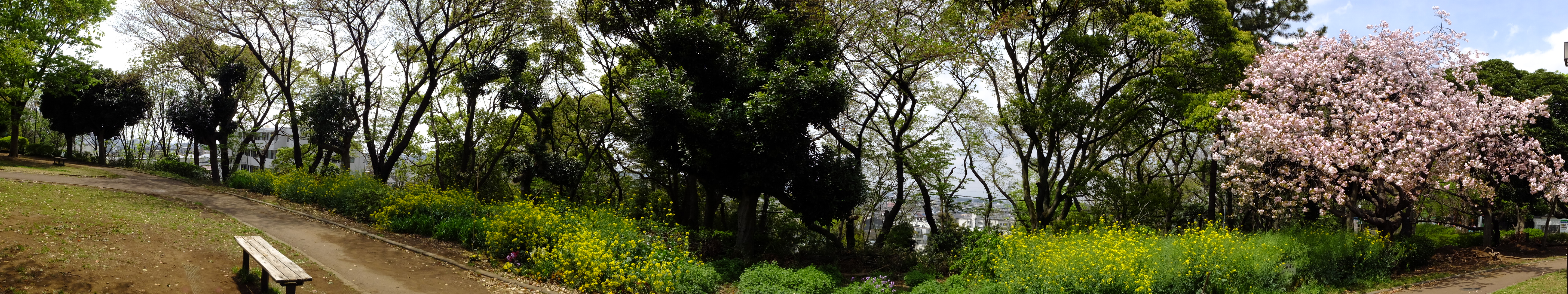 180度を選択し、左右にカメラを振って撮影