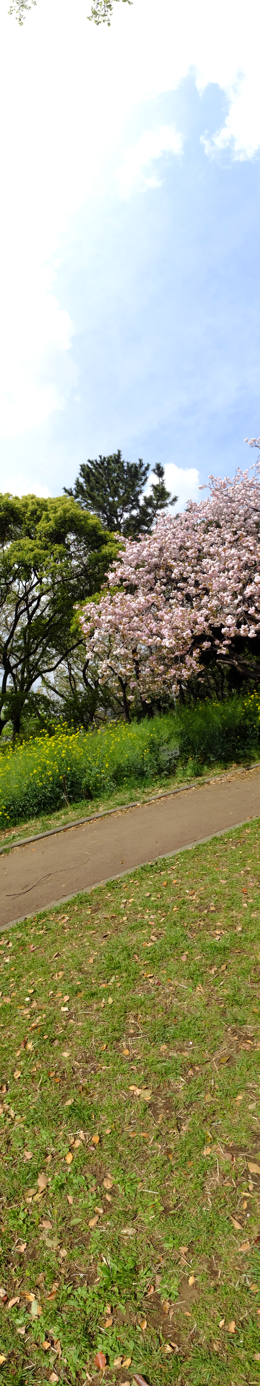 180度を選択し、カメラを縦に振って撮影