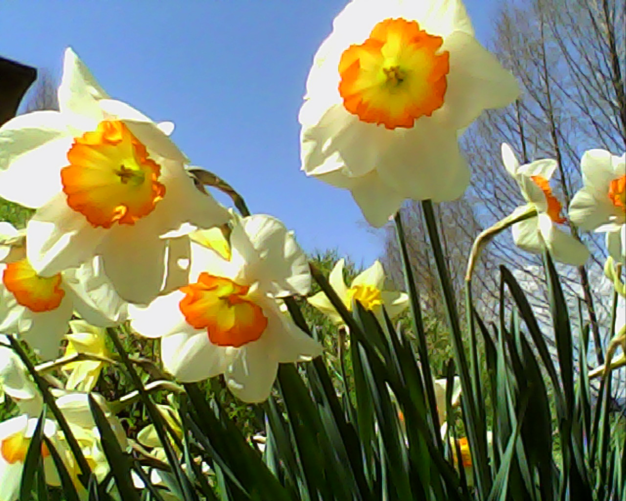 ノーファインダー撮影だから、超ローポジションも問題ありません