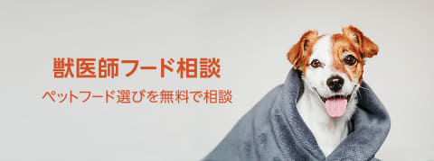 Amazon 限定セールやペットフード購入相談もできる ペットプロフィール Impress Watch