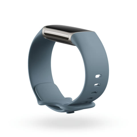 fitbit flex 1