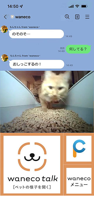 猫のトイレタイミングを飼い主にlineでお知らせ Waneco Talk Impress Watch 猫のトイレタイミングを飼い主にlineでお知らせ Waneco Talk Impress Watch