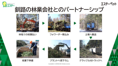 エステー 猫用トイレでペット市場参入 トドマツ粉体使用 Impress Watch