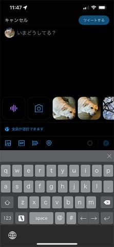 Twitterにgifアニメ撮影 投稿機能 Impress Watch