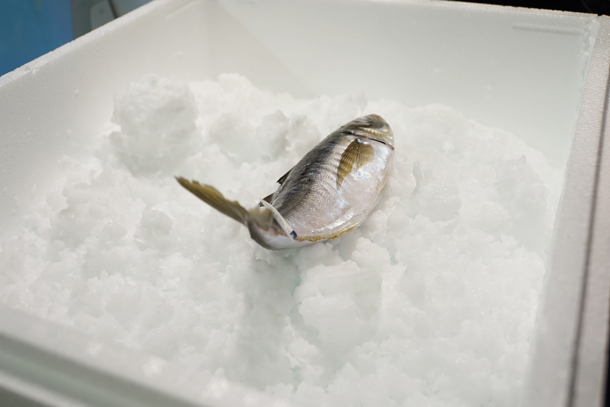 大宮駅に活魚を瞬間冷凍するハイブリッドアイス - Impress Watch