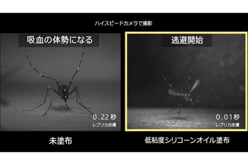 花王 新たな蚊よけ技術を製品化 蚊が肌にとどまらない Impress Watch