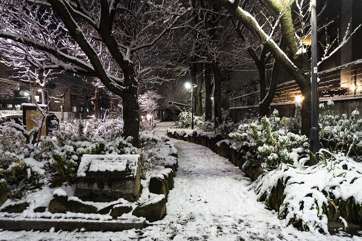 10～11日は関東の大雪に注意。東京で5～10cmの積雪 - Impress Watch
