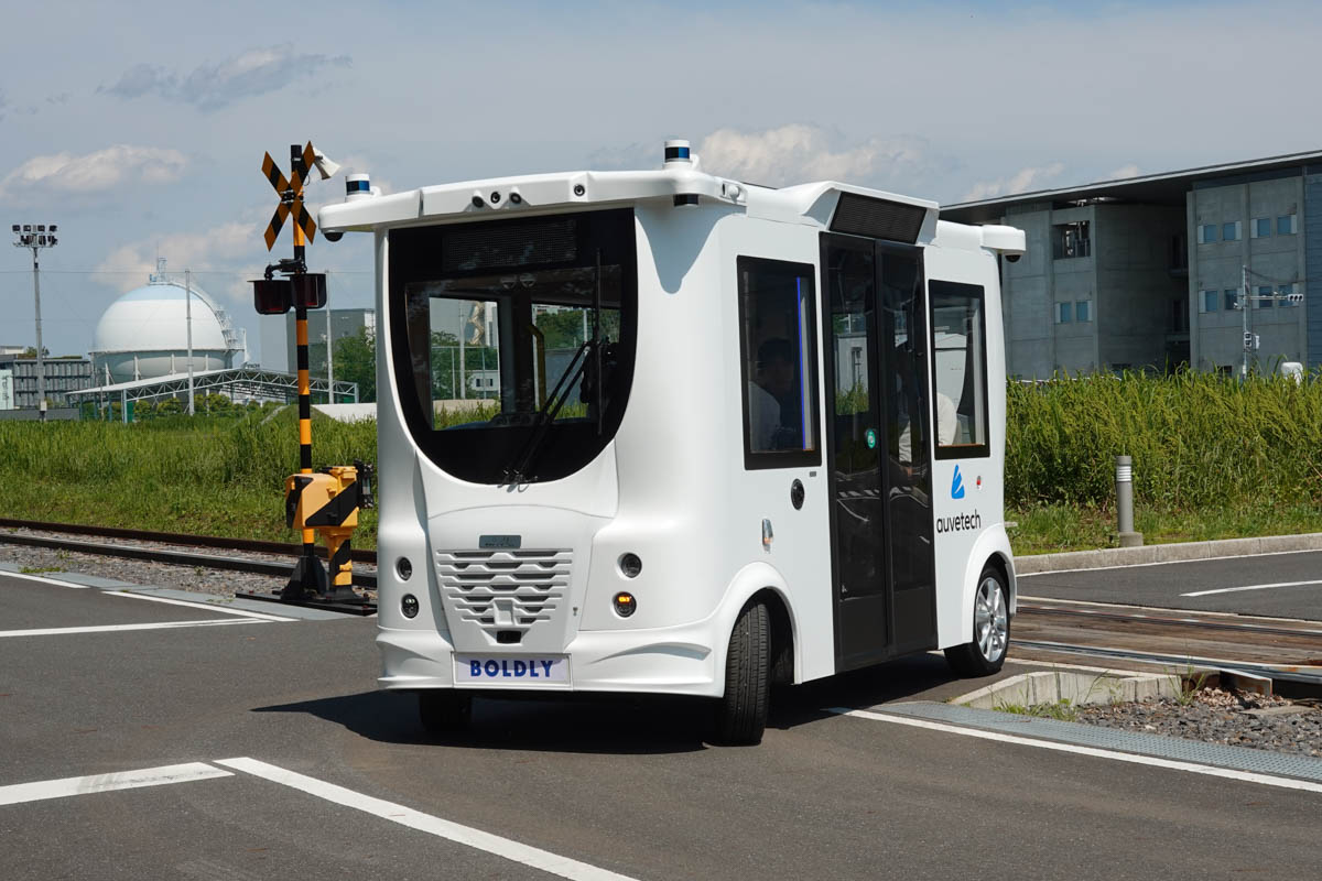 センペルビウム 輸入 Micha (ミカ) センペルビウム 輸入 Micha (ミカ)