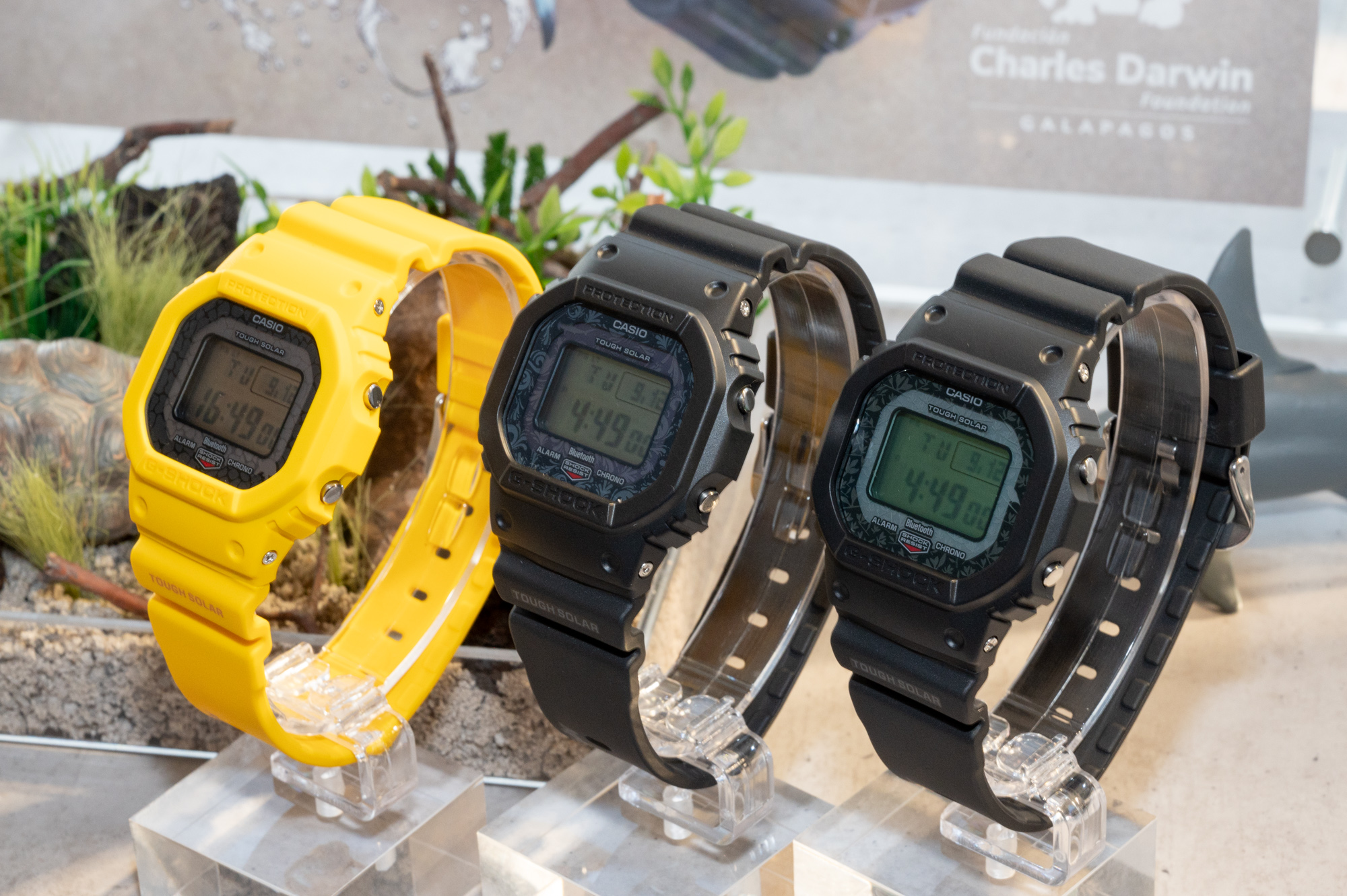 G-SHOCK ガラパゴス諸島がモチーフのダーウィン財団コラボモデル ...