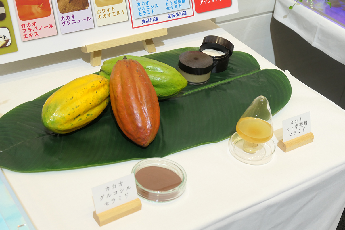 明治、カカオ由来の保湿成分「カカオセラミド」を素材化 世界初