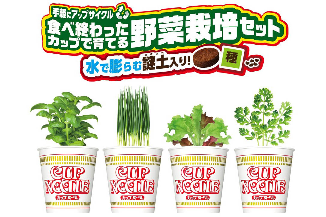 六鉢 complete package Ninja ZX-6R 40th Anniversary Edition