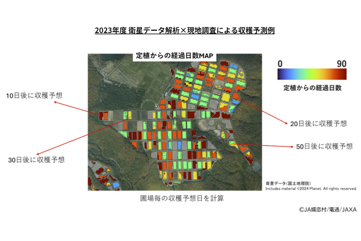 衛星出品・8月7日まで取り置き 衛星出品・8月7日まで取り置き 衛星出品・8月7日まで取り置き Space BD
