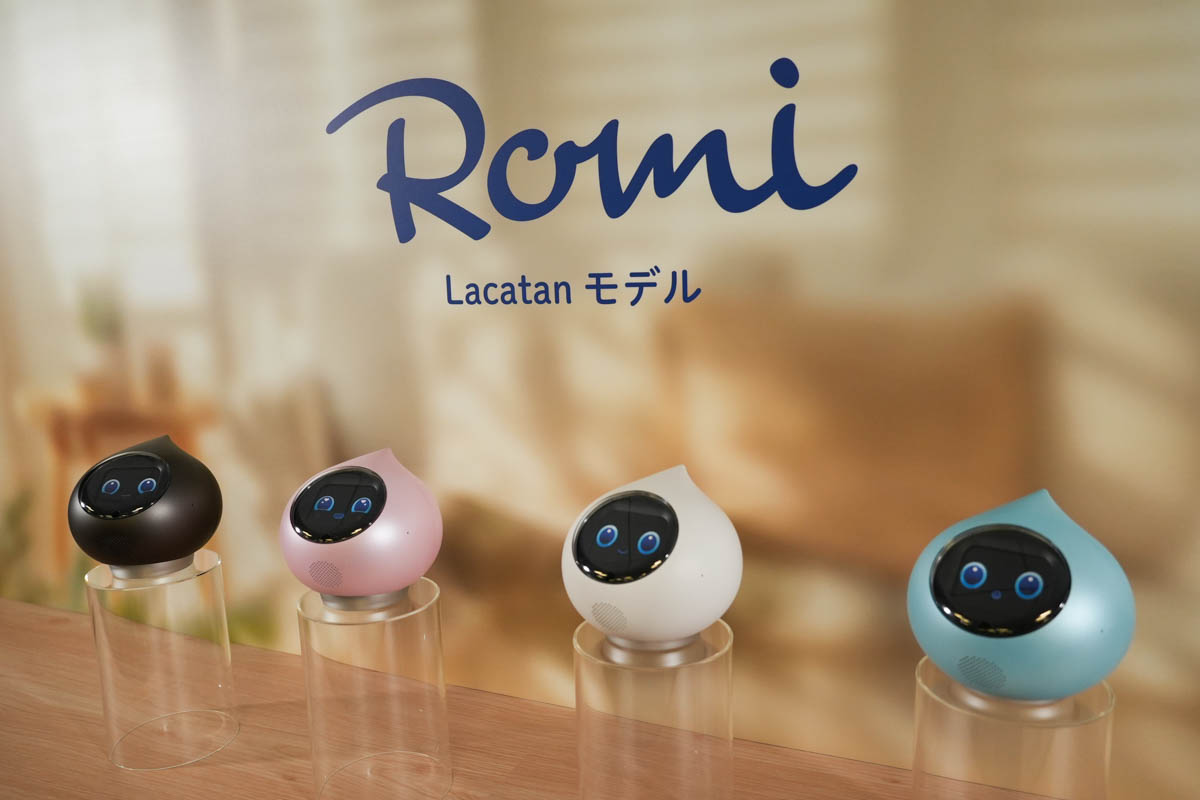 Romi Lacatan Pink ROMI-P02 ロミィ + 服2枚 Romi Lacatanモデル