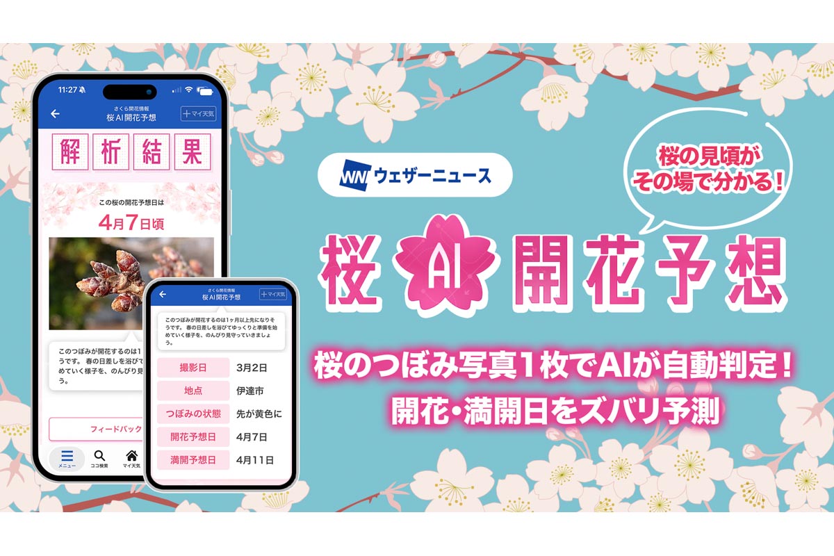 桜の写真から「満開日」予測 地域毎に一番の見頃を特定 ウェザー