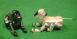AIBO