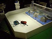 ワンダーボーグ