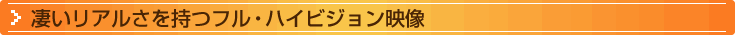 凄いリアルさを持つフル・ハイビジョン映像