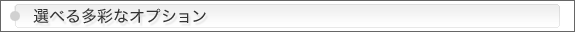 選べる多彩なオプション