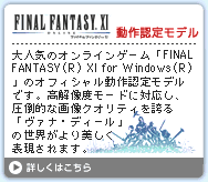 FINAL NANTASY XI 動作認定モデル
